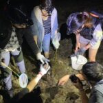 玩澎湖民宿代訂夜探龍宮旅遊行程可夜訪潮間帶