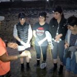 玩澎湖民宿代訂夜探龍宮旅遊行程協助自由行探訪潮間帶生態